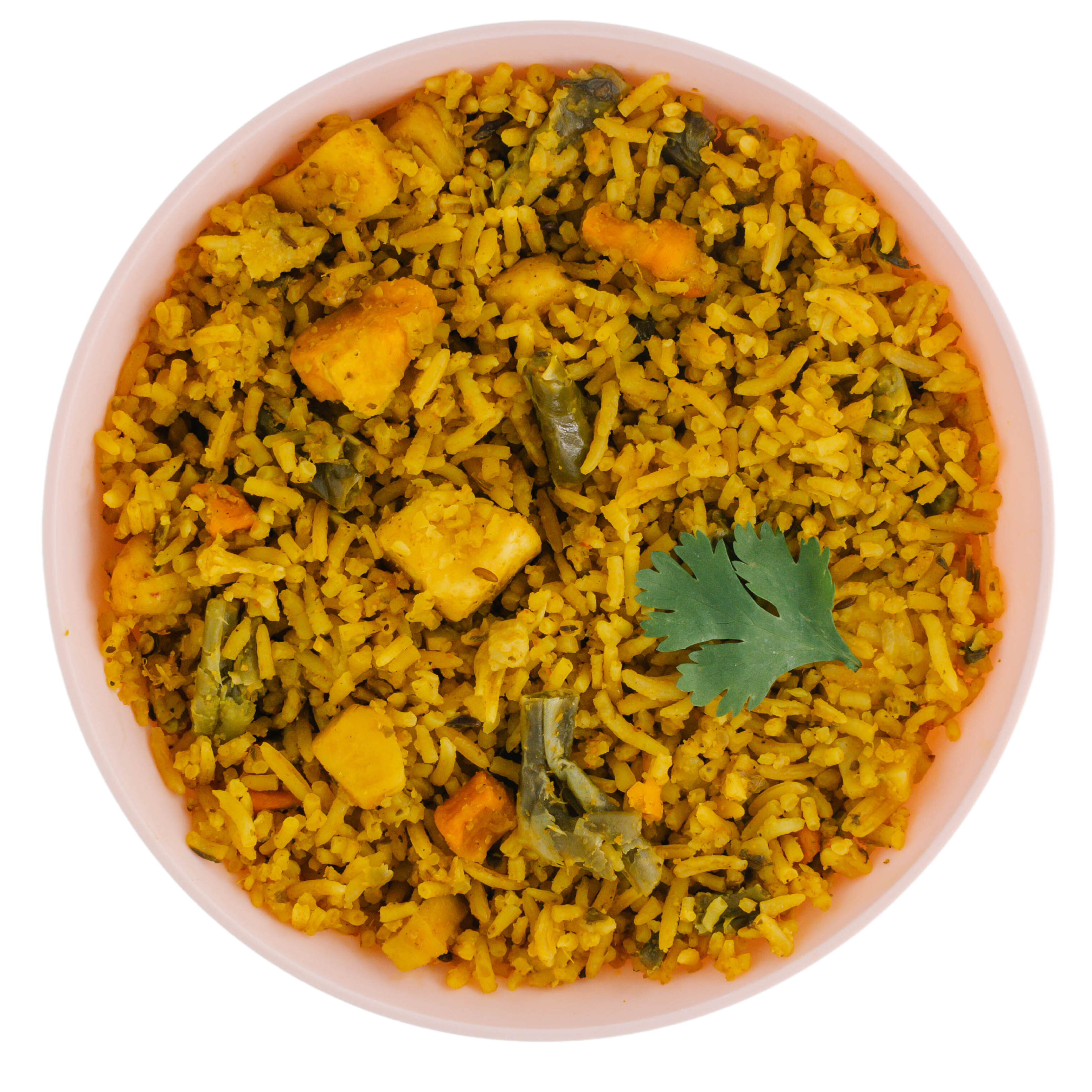 Vegetable Biryani